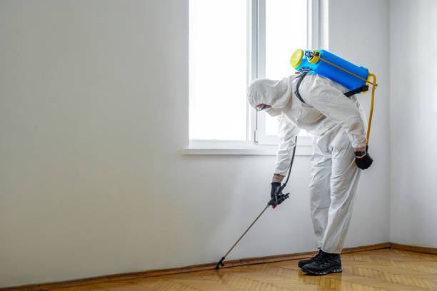 Real Estate Pest Inspections in Butler, MO